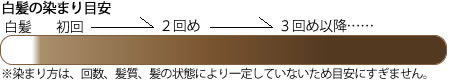 ヘナ+インディゴ4(6:4)染まり具合